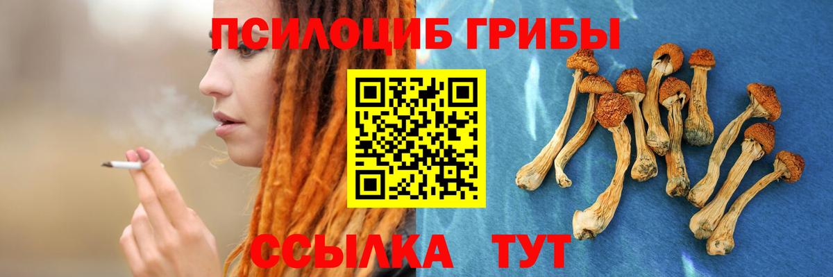 Галлюциногенные грибы мухоморы Гулькевичи